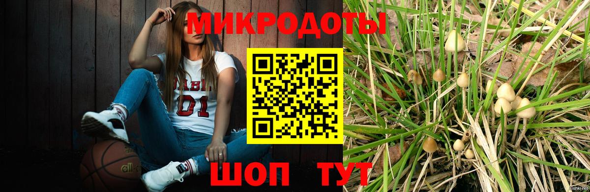 Псилоцибиновые грибы MAGIC MUSHROOMS Ливны