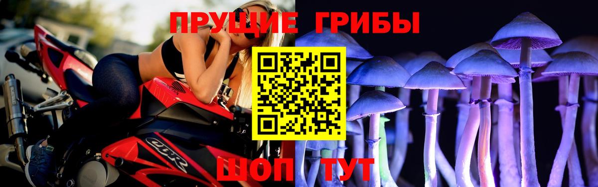 Ливны  Псилоцибиновые грибы мицелий  Вход с VPN  Псилоцибиновые грибы Psilocybine cubensis 